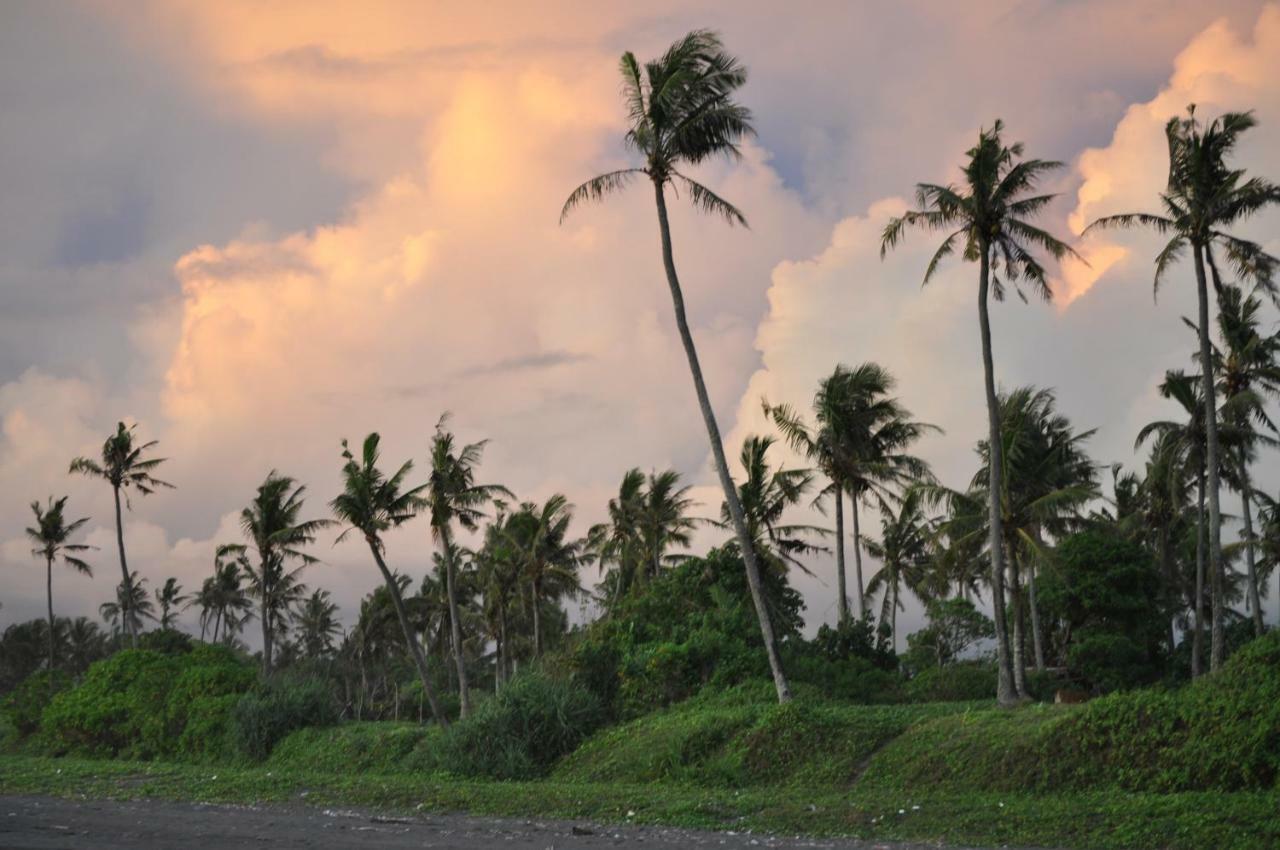 Seaside Tribe - Boutique Surf Stay&Retreat Tanah Lot Extérieur photo